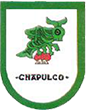 Escudo de Chapulco
