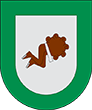 Escudo de Chiautzingo