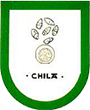 Escudo de Chila de la Sal