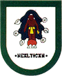 Escudo de Nealtican