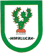 Escudo de Nopalucan