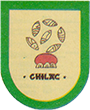 Escudo de San Gabriel Chilac