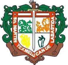 Escudo de San Martín Texmelucan