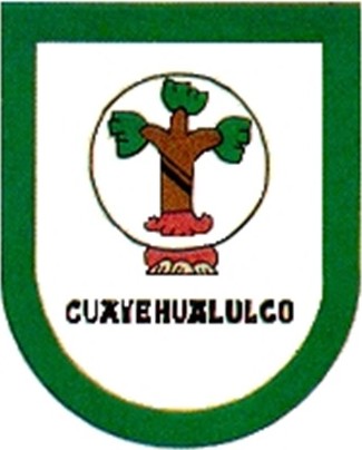 Escudo de San Salvador el Seco