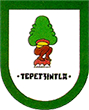 Escudo de Tepetzintla