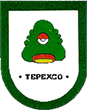 Escudo de Tepexco