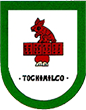 Escudo de Tochimilco
