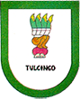 Escudo de Tulcingo
