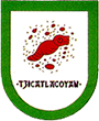 Escudo de Tzicatlacoyan