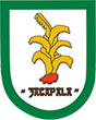 Escudo de Zacapala