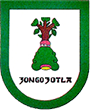 Escudo de Zongozotla