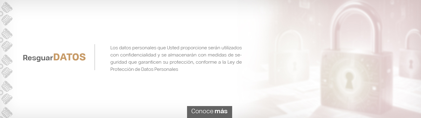 Material de consulta