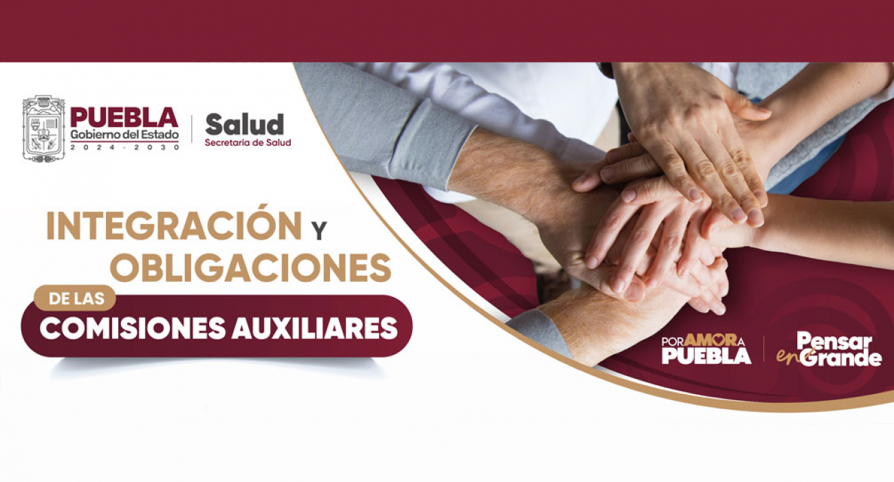 Integración y obligaciones de las Comisiones Auxiliares
