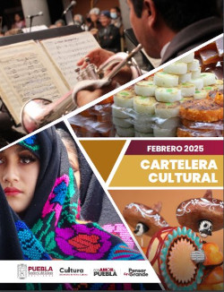 GACETAFEBRERO2025V15