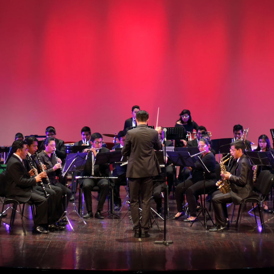 Centro de Capacitación de Música de Banda (CECAMBA)