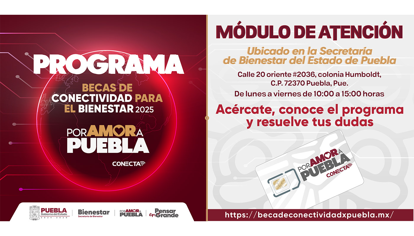 PRograma de conectividad 