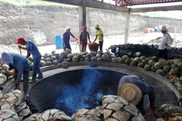 mezcal 2