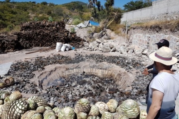 mezcal 5