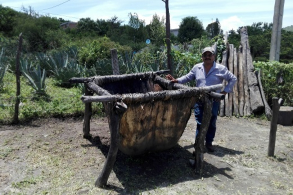 mezcal 6