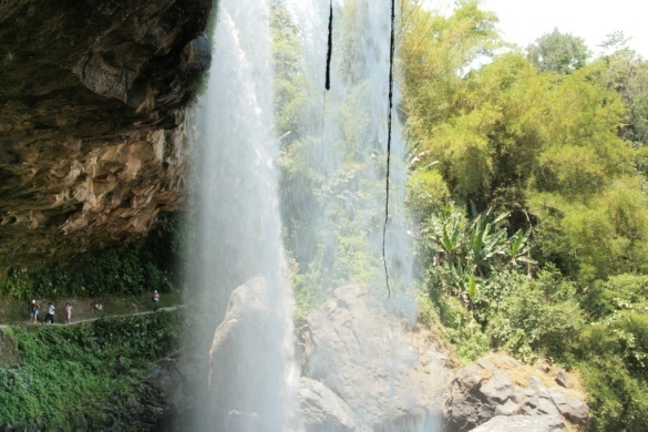 vainilla 1