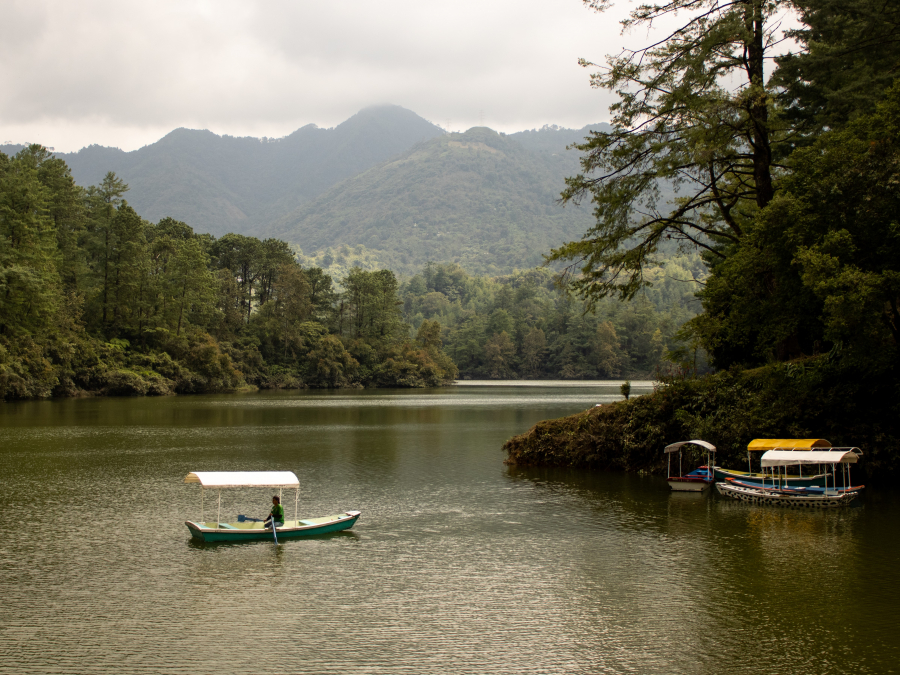 Travesía tranquila: Navegando en las aguas de la soledad