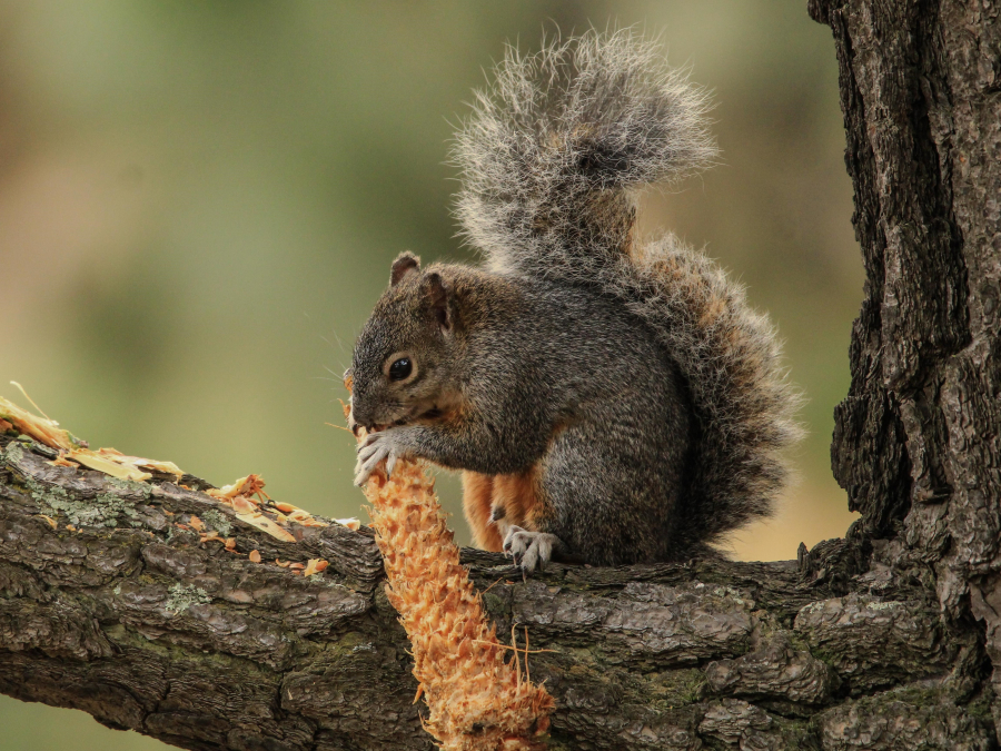 La vida comienza con la primera mordida