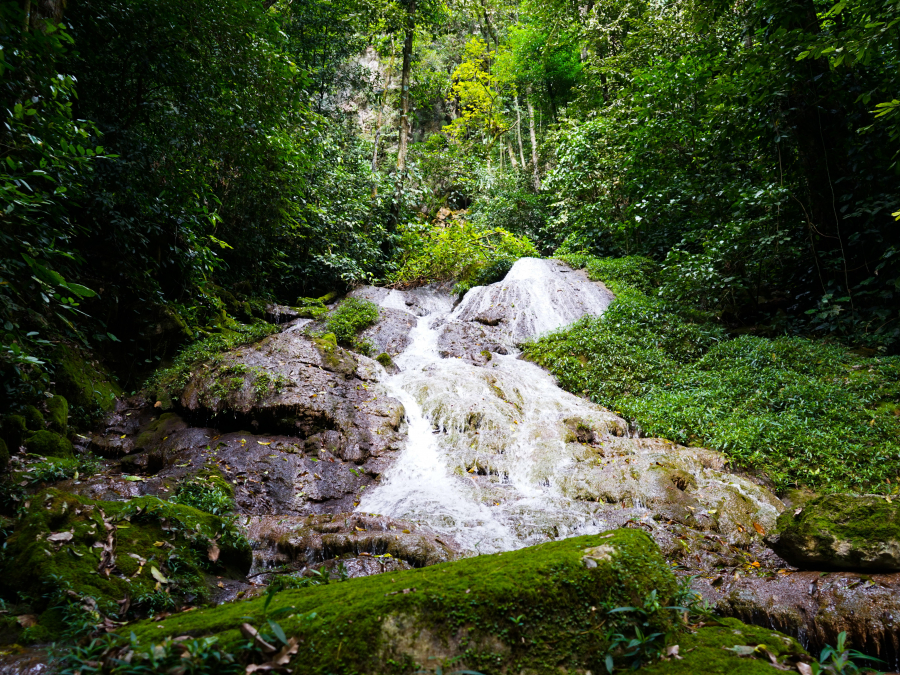 Cascada los arroyos