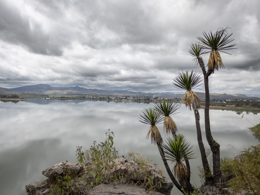 Reabastecimiento natural