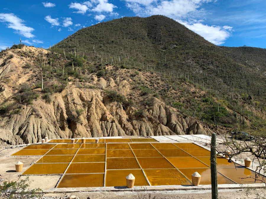 Salinas de Zapotitlan