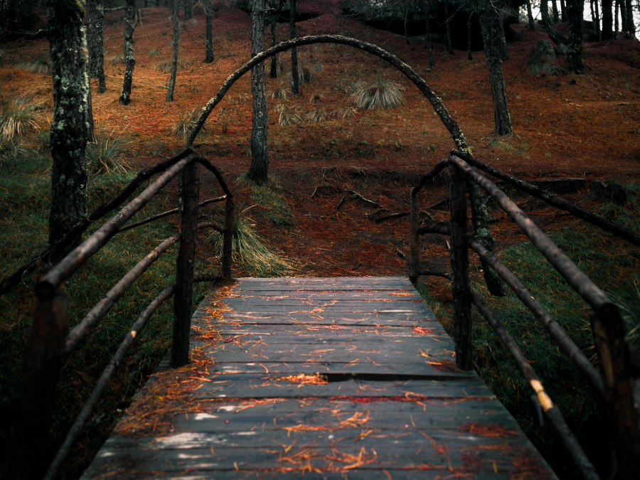  Camino entre luces